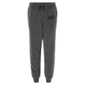 DC Flight Icon Sweatpant