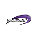 DC Flight Wordmark Magnet