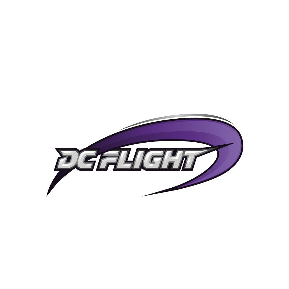 DC Flight Wordmark Magnet
